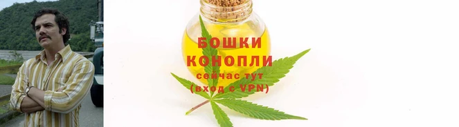 дмт Бронницы
